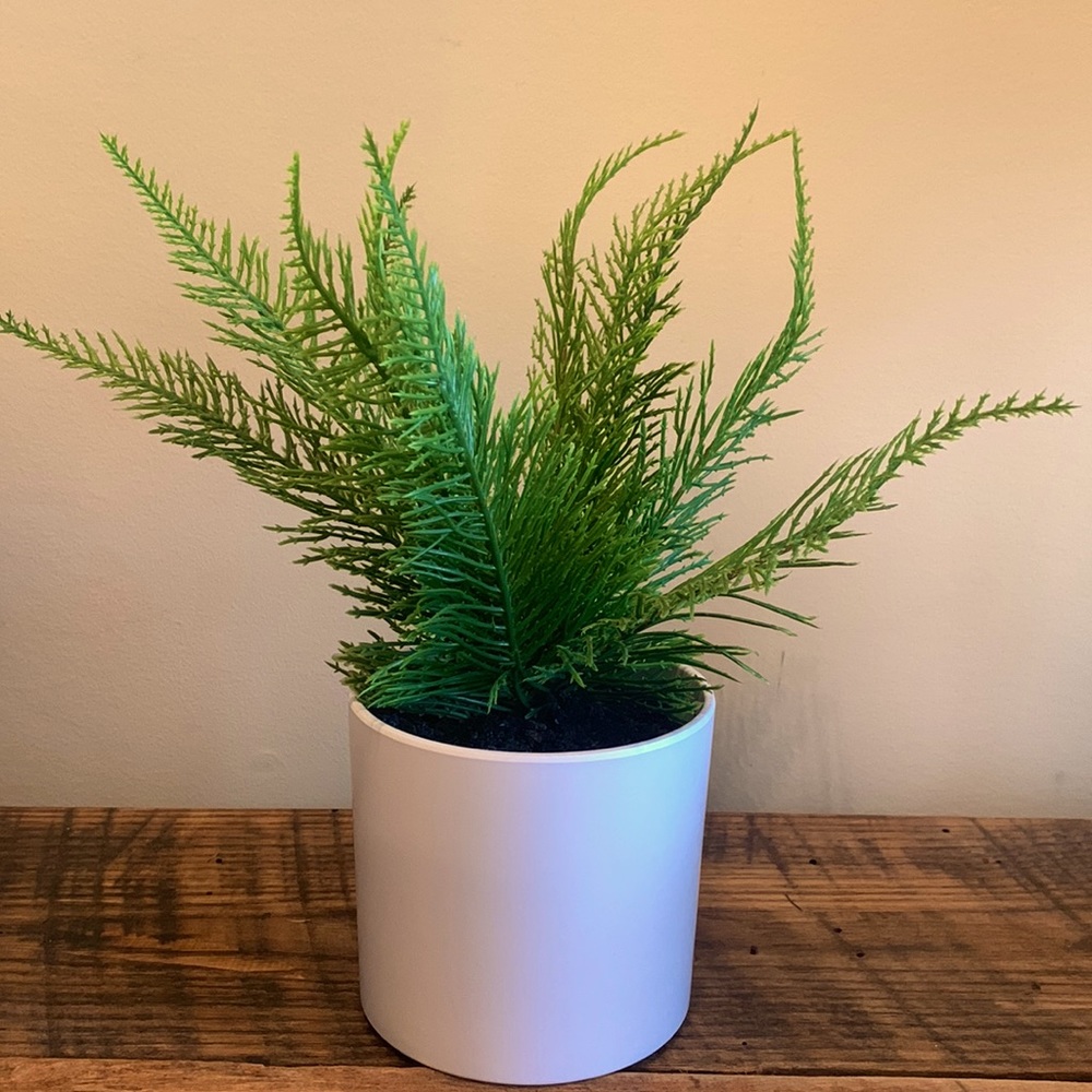 Home Decor Faux Indoor Small Plant